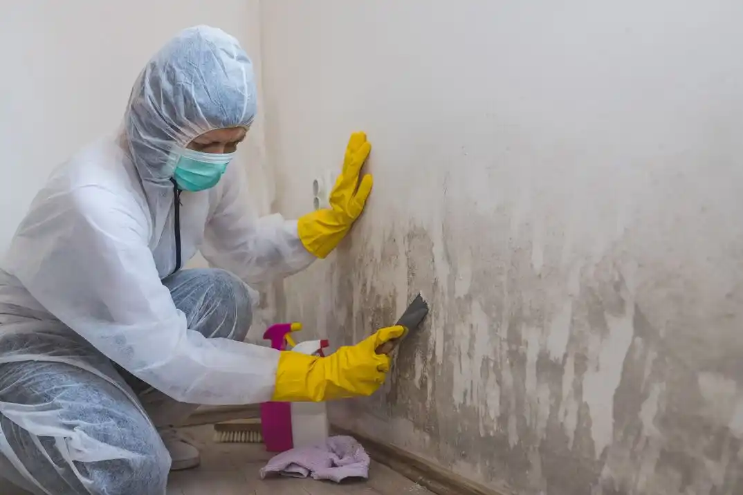 water damage restoration service DeBaliviere Place